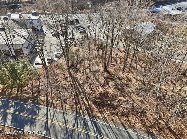 a view of a dry yard with wooden fence