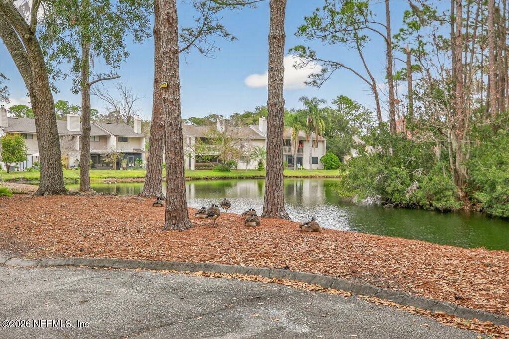 3801 Crown Point Road, Unit 2072 Jacksonville, FL 32257 - Photo 4 of 38 a view of a house with a yard