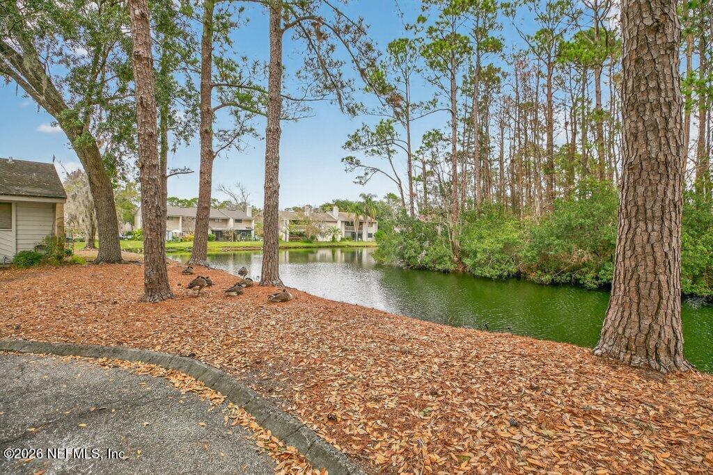3801 Crown Point Road, Unit 2072 Jacksonville, FL 32257 - Photo 5 of 38 a view of lake
