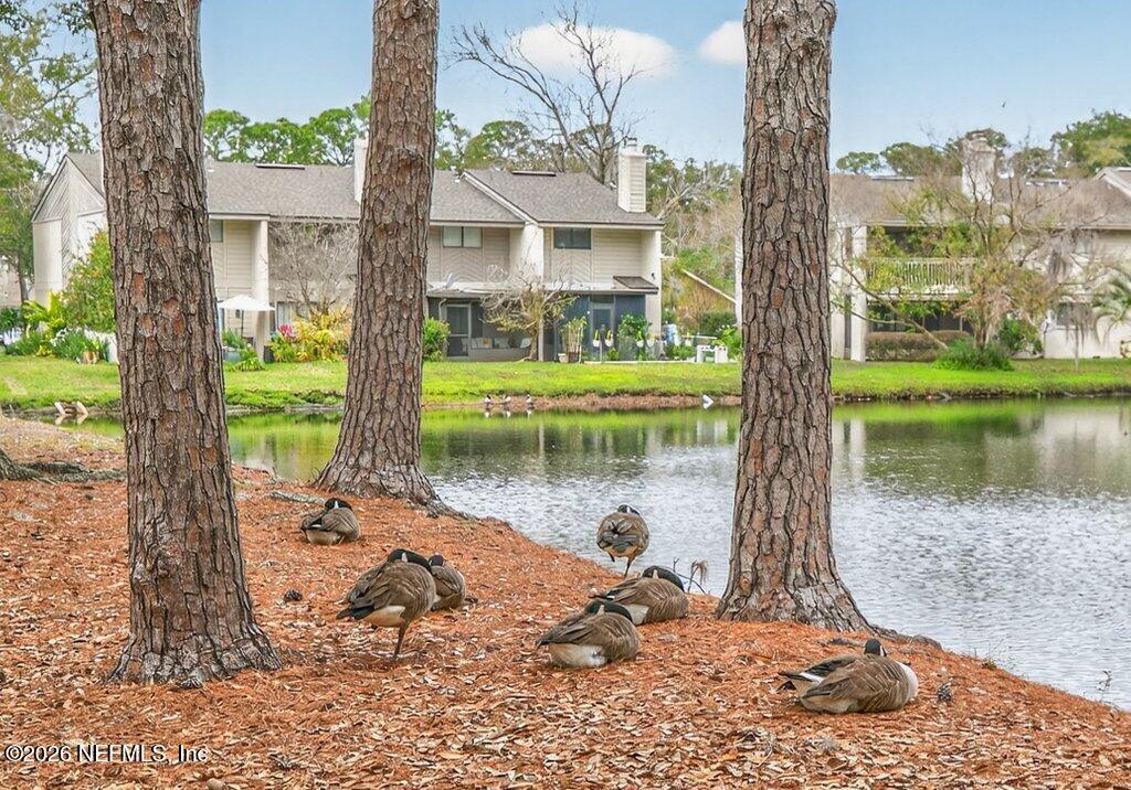3801 Crown Point Road, Unit 2072 Jacksonville, FL 32257 - Photo 6 of 38 a view of a house with a yard and a large tree