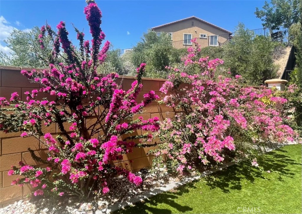 44260 Nighthawk Pass Temecula, CA 92592 - Photo 34 of 55 a view of a flower in a yard