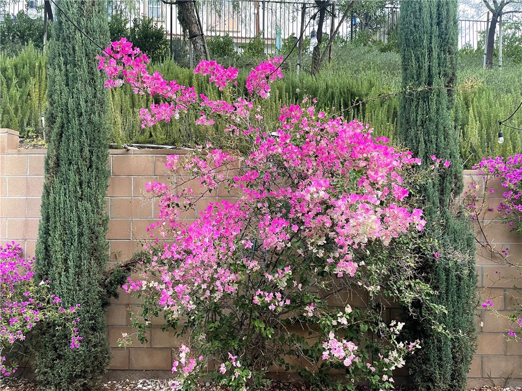44260 Nighthawk Pass Temecula, CA 92592 - Photo 37 of 55 a view of yard with flowers and flowers