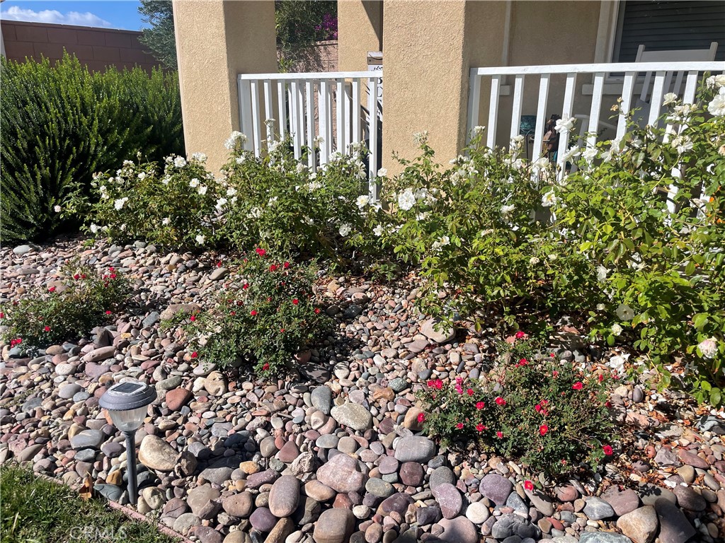 44260 Nighthawk Pass Temecula, CA 92592 - Photo 43 of 55 a view of a house with a flower garden