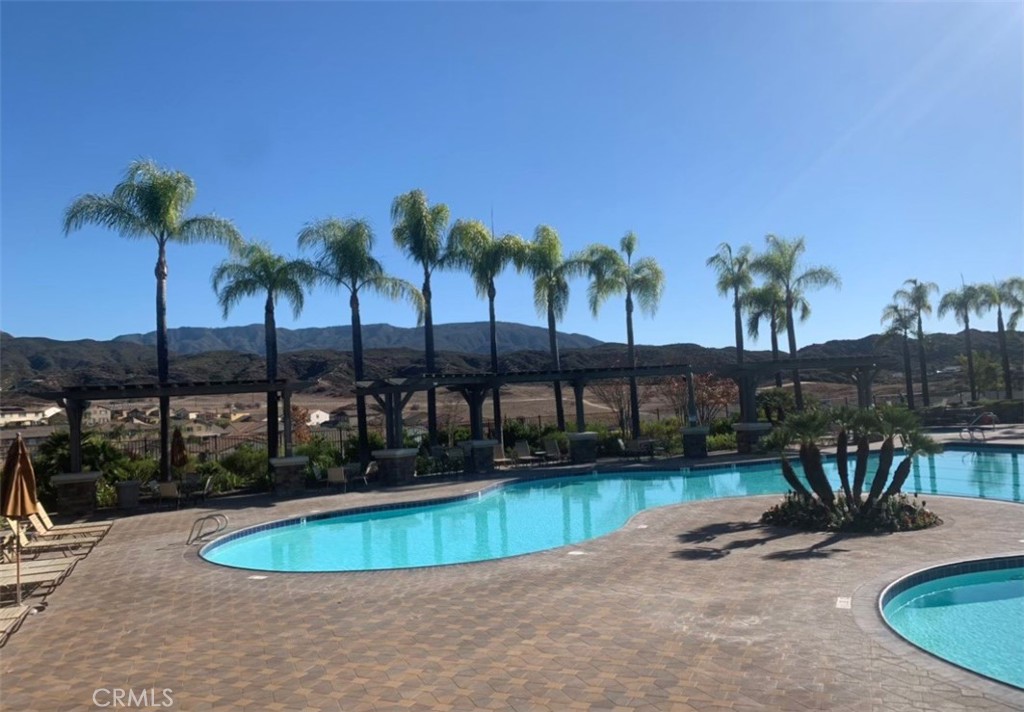 44260 Nighthawk Pass Temecula, CA 92592 - Photo 53 of 55 a view of a swimming pool with a lawn chairs under palm trees