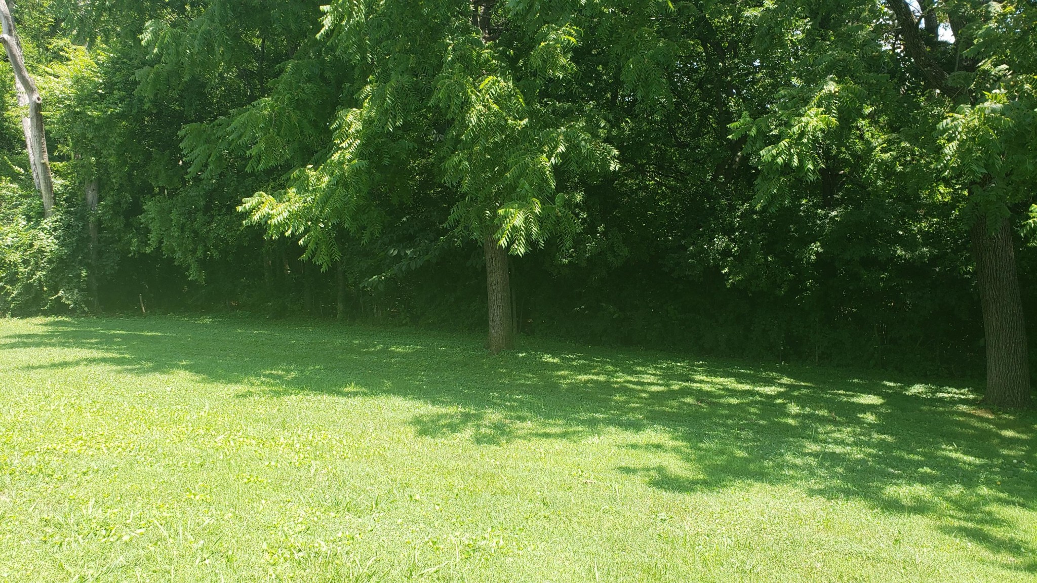 2150 Highland Road Maryville, TN 37801 - Photo 15 of 28 Gallery Image 15