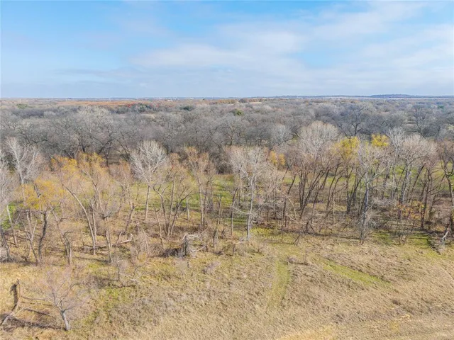 a view of tree next to a yard