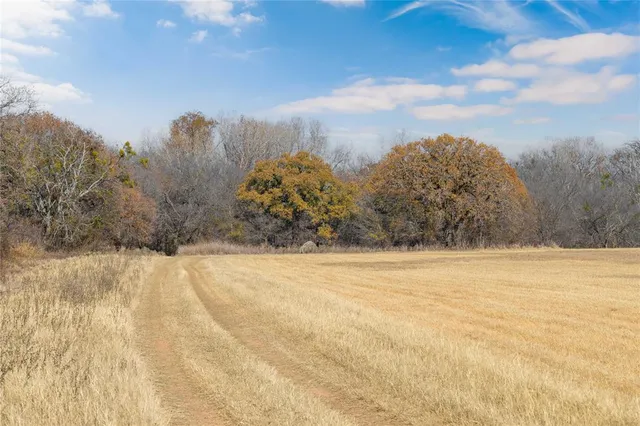 a backyard of a house with lots of green space