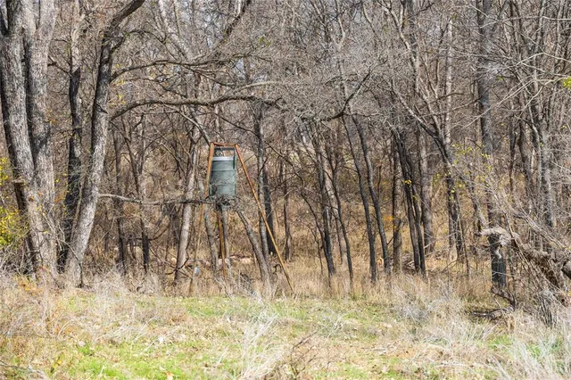 a view of beach and lake