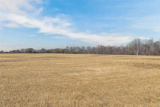 a view of swimming pool with trees in background
