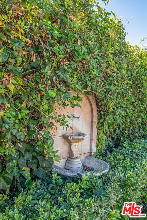 11144 Valley Spring Place Studio City, CA 91602 - Photo 32 of 36 a view of a plants in backyard of house
