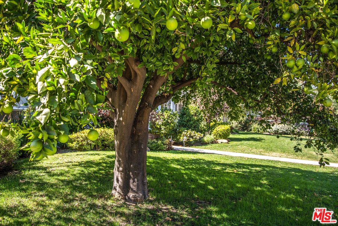 11144 Valley Spring Place Studio City, CA 91602 - Photo 35 of 36 a view of outdoor space with deck and yard