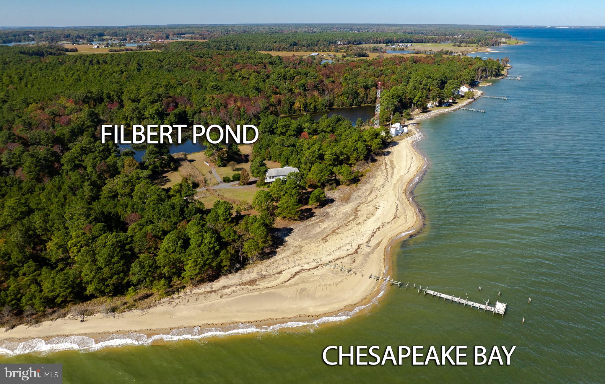 50645 Holly Point Road Dameron, MD 20628 - Photo 14 of 99