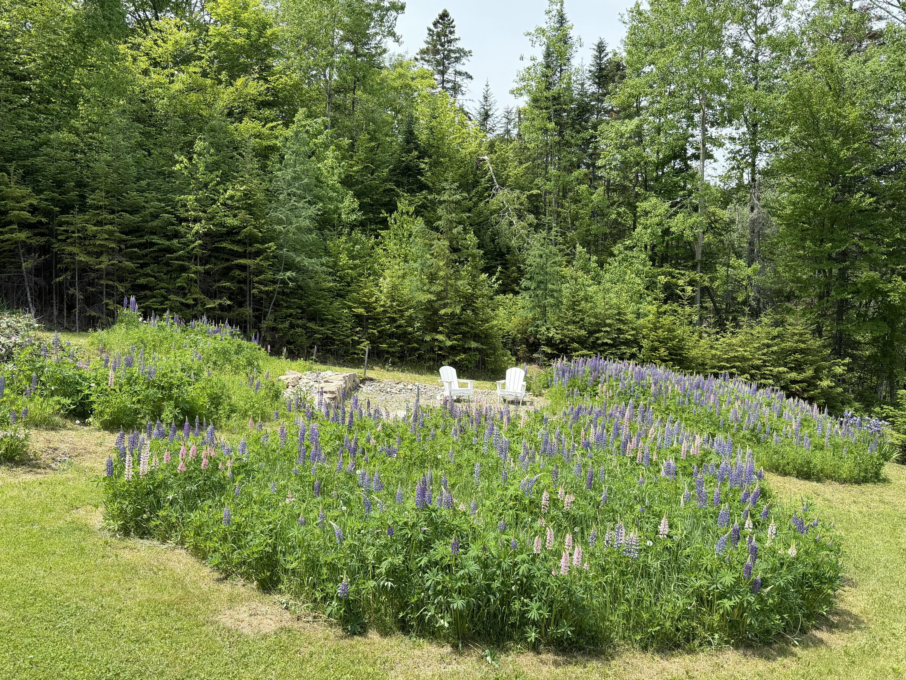 166 Station Road Sherman, ME 04776 - Photo 21 of 24 IMG_2659