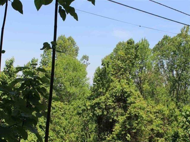 Stans Road Gatlinburg, TN 37738 - Photo 1 of 5 1