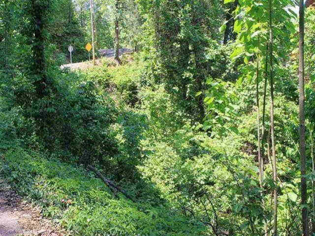 Stans Road Gatlinburg, TN 37738 - Photo 2 of 5 2