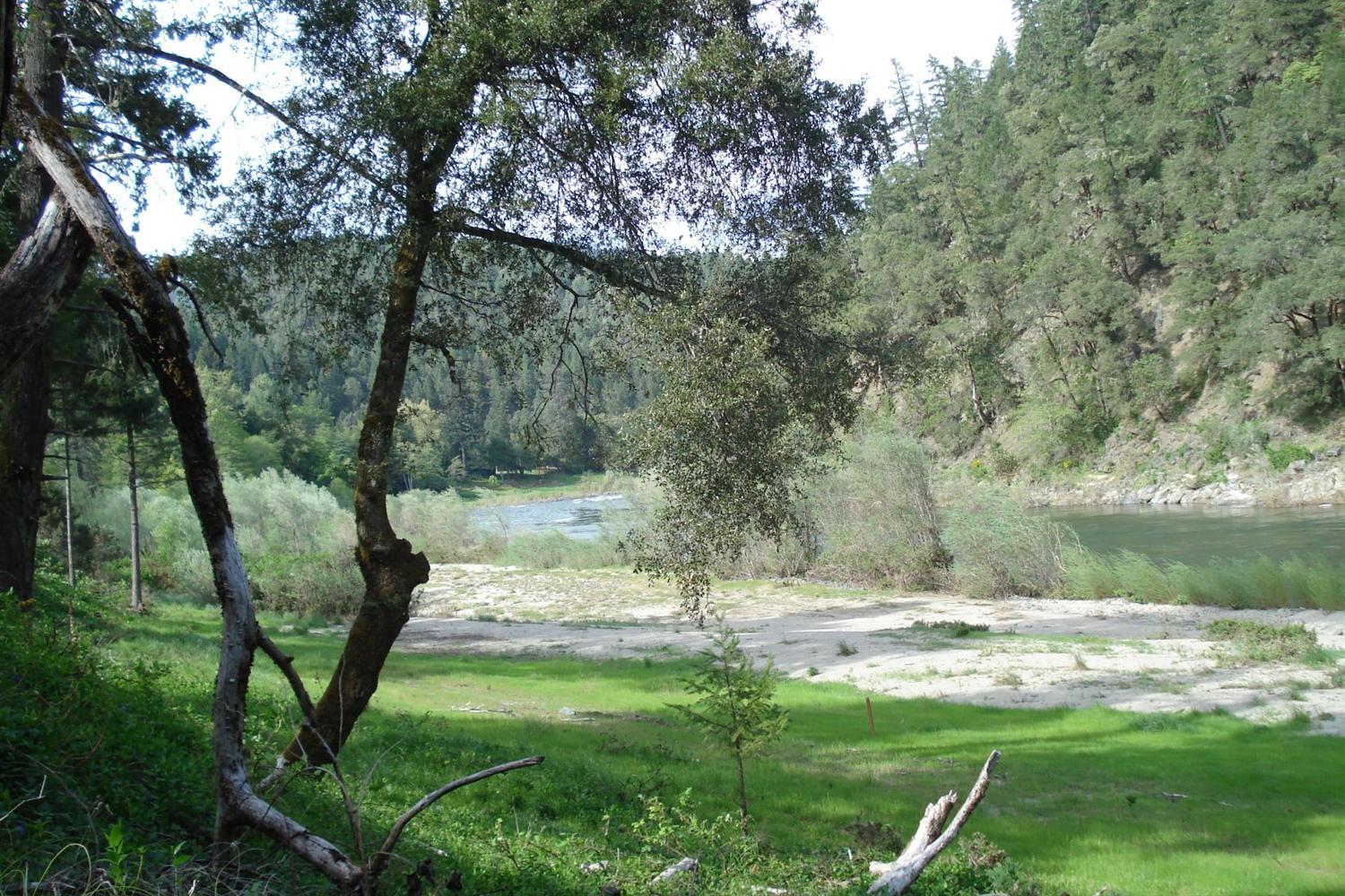 11800 Galice Road Merlin, OR 97532 - Photo 21 of 22 a view of green field with trees