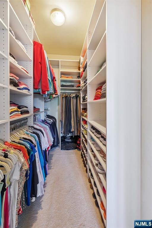 175 Rochelle Avenue, Unit 321 Rochelle Park, NJ 07662 - Photo 15 of 27 a view of walk in closet with clothes and shoes