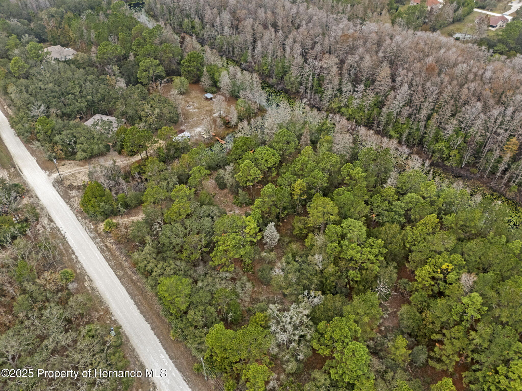 0 Yellowback Road Weeki Wachee, FL 34614 - Photo 14 of 14