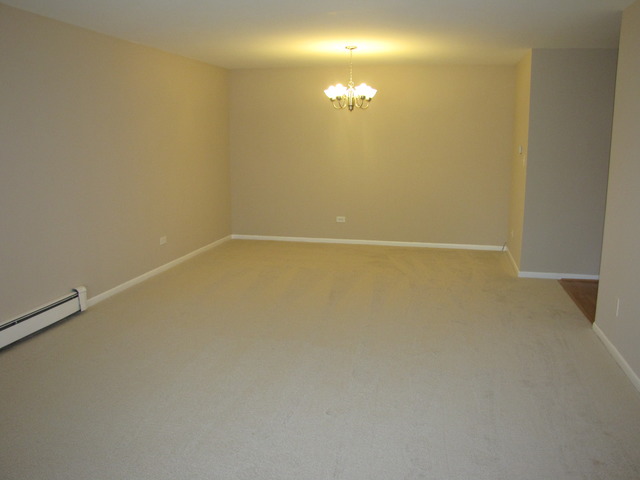 1331 South Finley Road, Unit 217 Lombard, IL 60148 - Photo 8 of 21