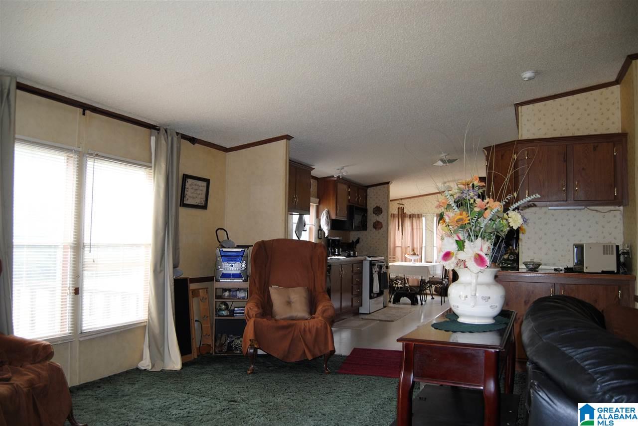3628 Spunky Hollow Road Remlap, AL 35133 - Photo 23 of 29