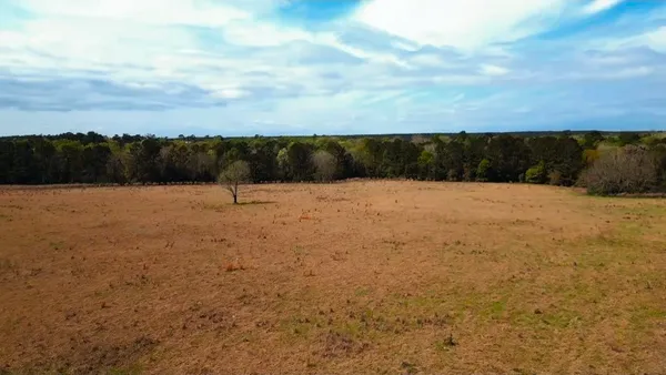 $348,000 | 136-137 Lot 136-137 Royal Oak Drive, Woodville, TX 75979
