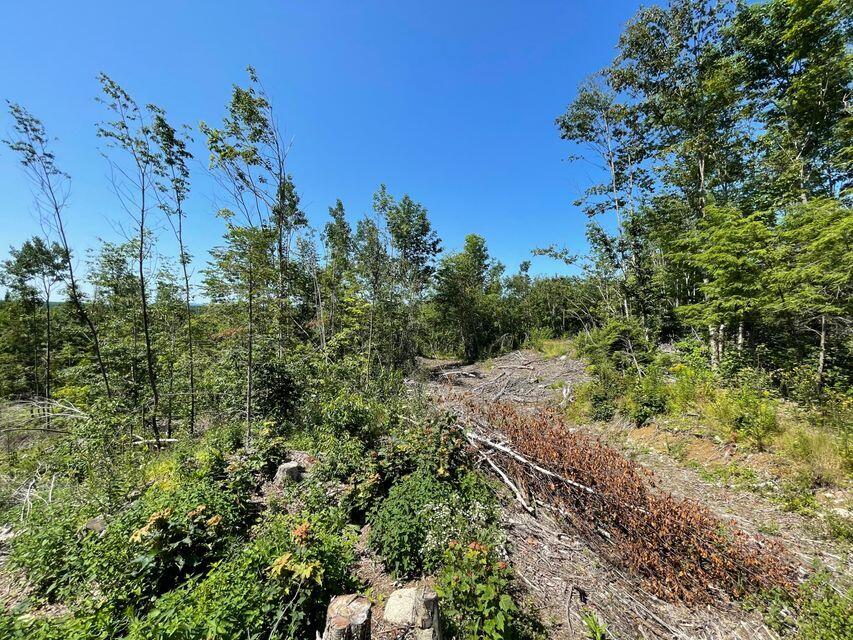 Lot 19 Upper Dobsis Road Lakeville, ME 04487 - Photo 5 of 11 4