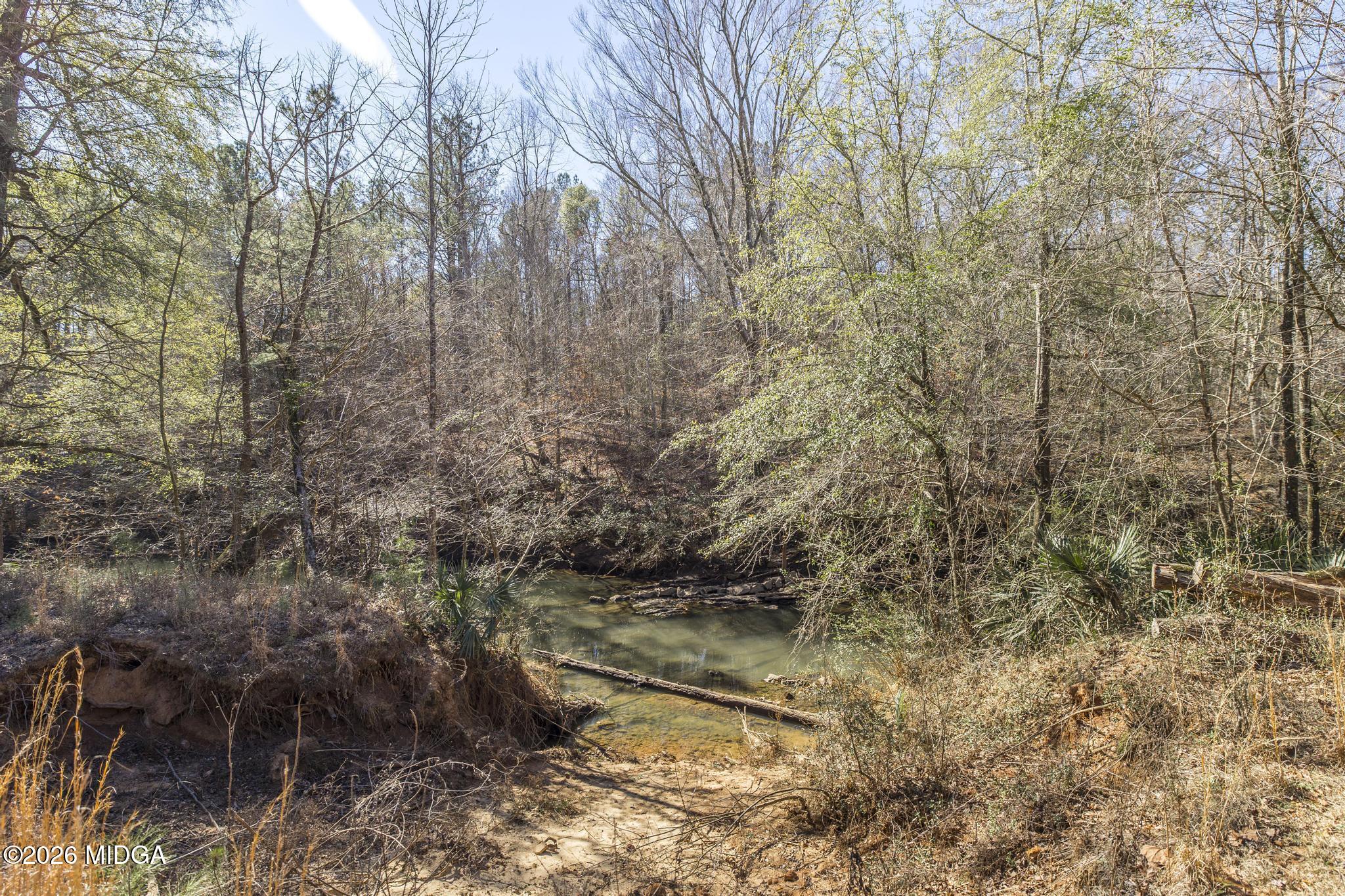 126 Pineworth Pointe Drive Macon, GA 31206 - Photo 45 of 50 126 Pineworth Pointe Dr 45