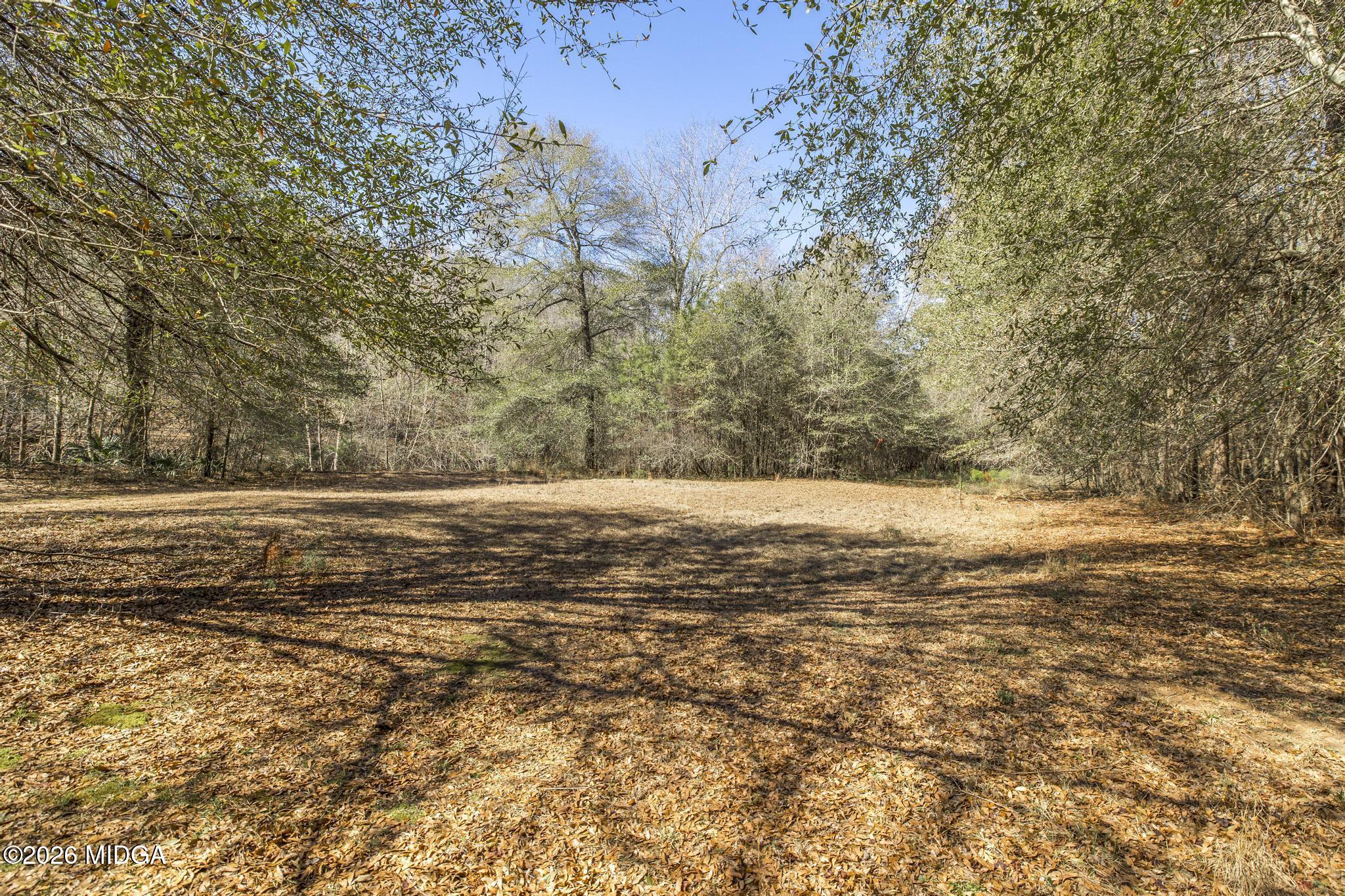 126 Pineworth Pointe Drive Macon, GA 31206 - Photo 49 of 50 126 Pineworth Pointe Dr 49