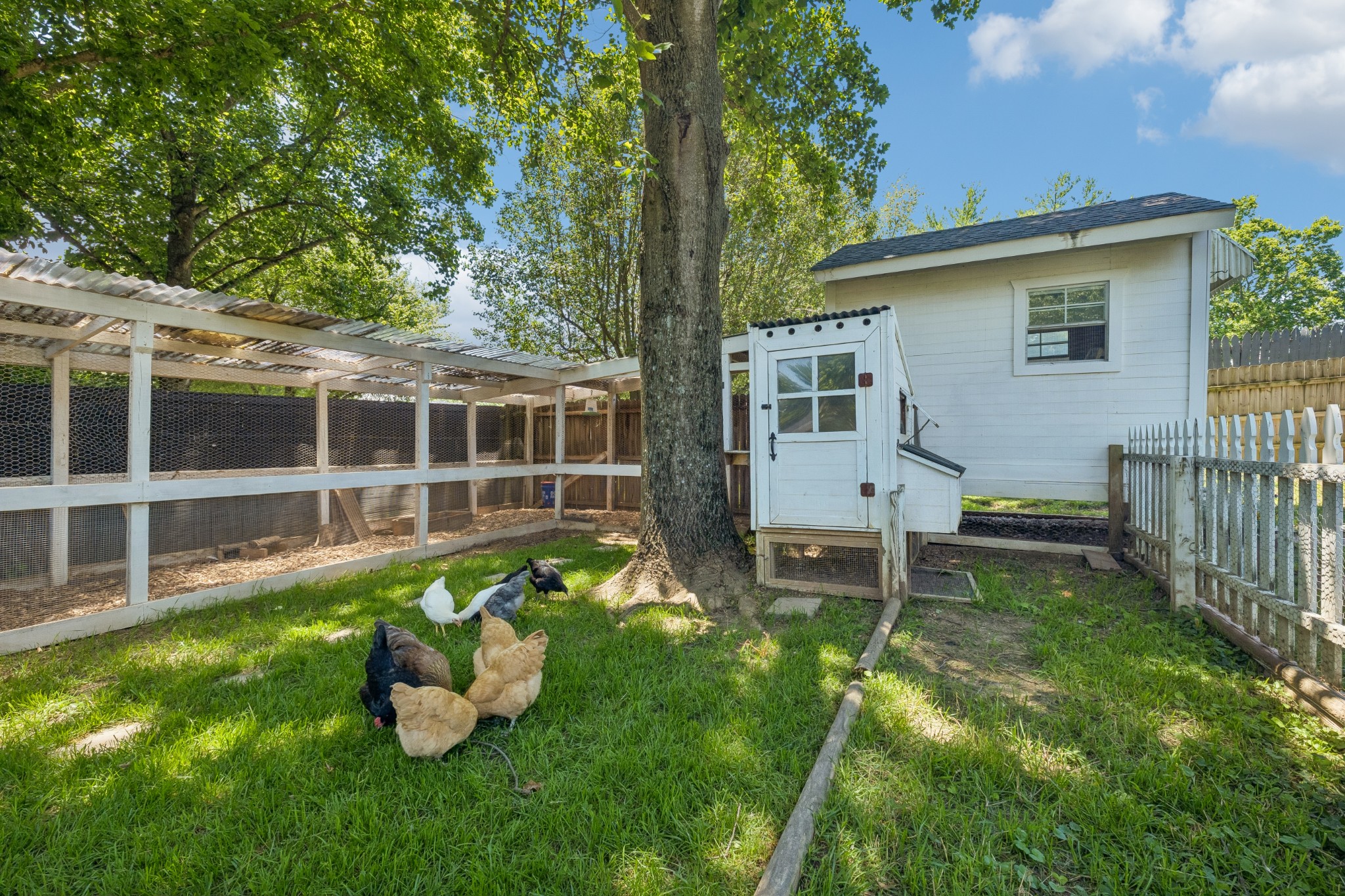 552 Overview Lane Franklin, TN 37064 - Photo 66 of 77