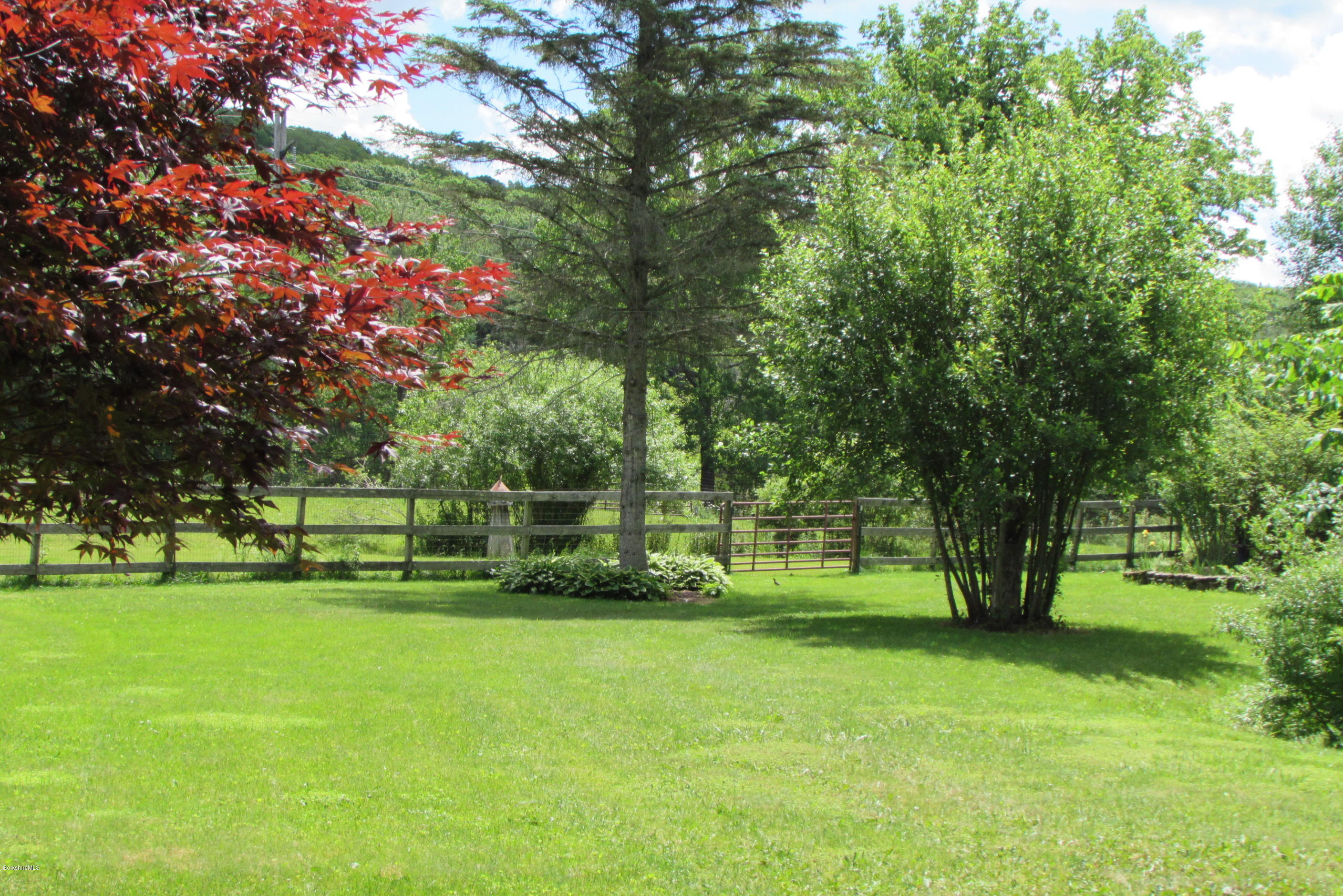 175 Tamarack Road Pittsfield, MA 01201 - Photo 22 of 22 Side Yard