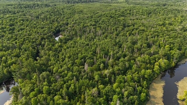 0 Colton Road Minong, WI 54859 - Photo 19 of 22 Gallery Image 19