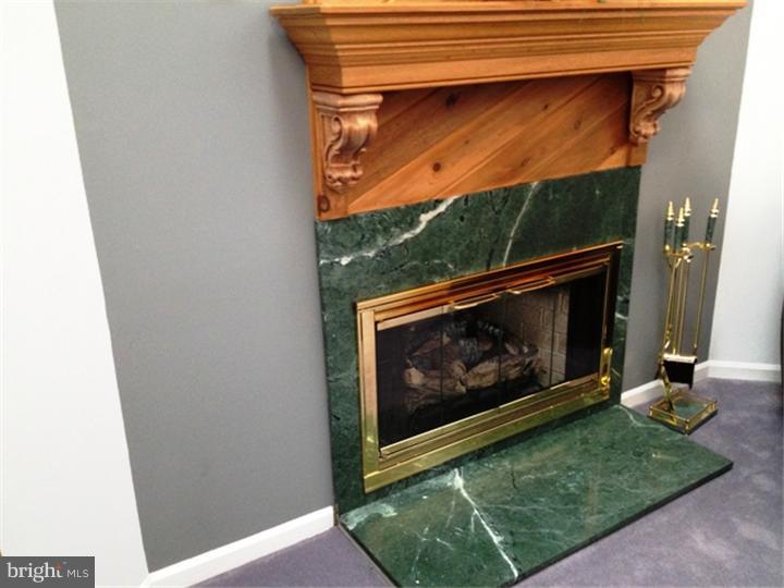 1015 Rill Road Reading, PA 19606 - Photo 5 of 25 Fireplace
