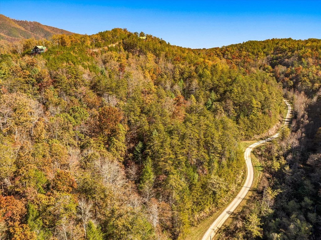 16 Wesley Way Sevierville, TN 37876 - Photo 13 of 22 Gallery Image 13