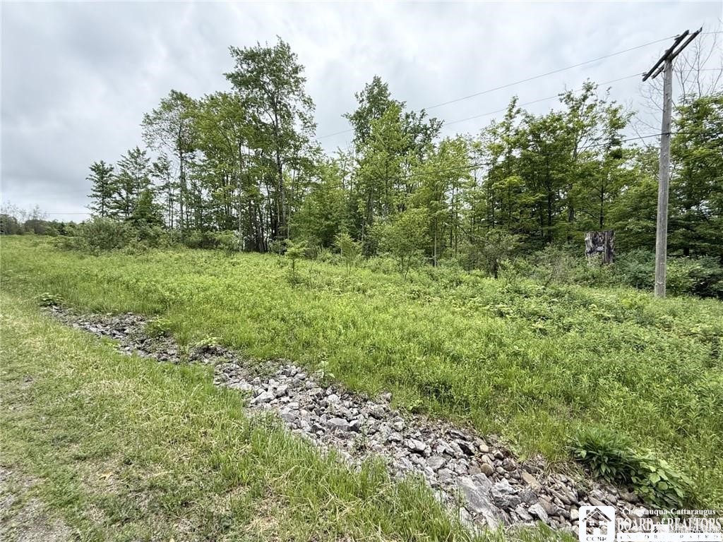 0 Luce Road Bemus Point, NY 14712 - Photo 11 of 39