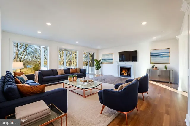a living room with furniture or couch and a potted plant