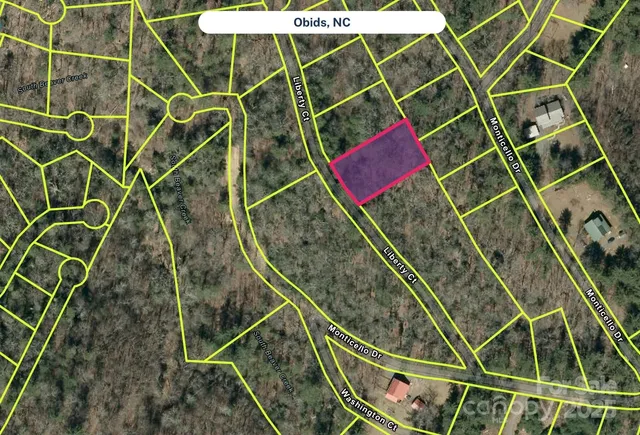 $9,900 | 0 Liberty Court, Unit 93, Whiteville, NC 28472