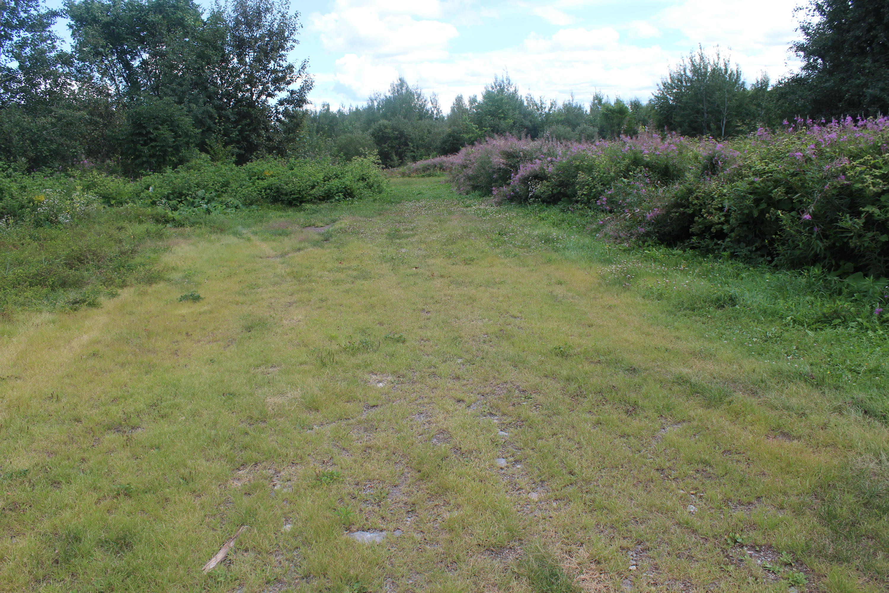 111 North Road Patten, ME 04765 - Photo 20 of 26 IMG_2565