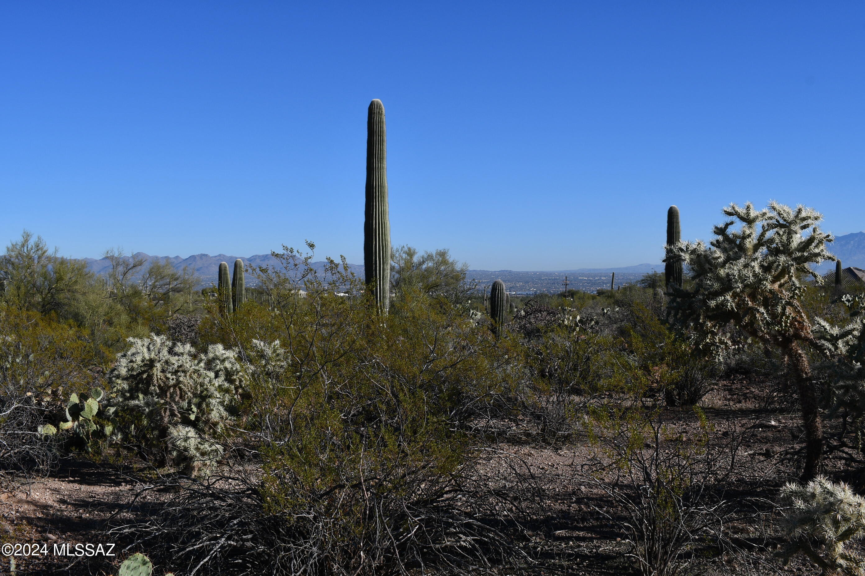 6396 North Yuma Mine Road Tucson, AZ 85743 - Photo 15 of 49 Gallery Image 15