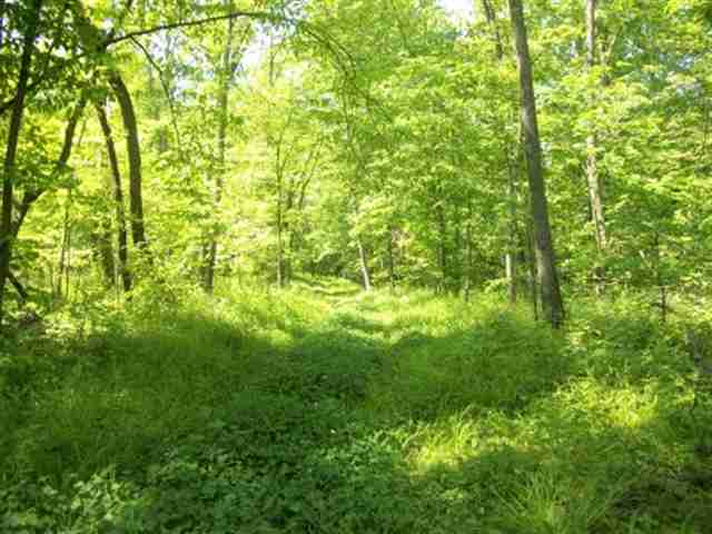 5252 West Blanding Road Hanover, IL 61041 - Photo 11 of 12 Gallery Image 11
