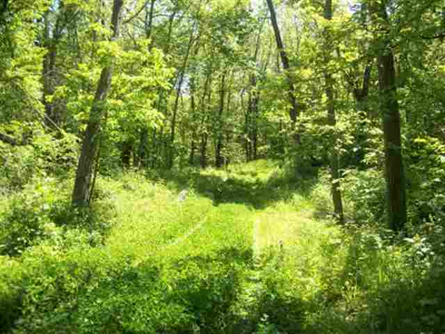 5252 West Blanding Road Hanover, IL 61041 - Photo 12 of 12 Gallery Image 12