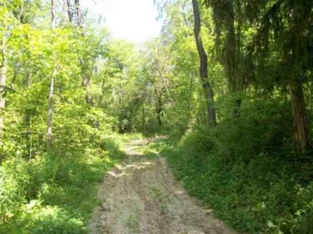 5252 West Blanding Road Hanover, IL 61041 - Photo 5 of 12 Gallery Image 5