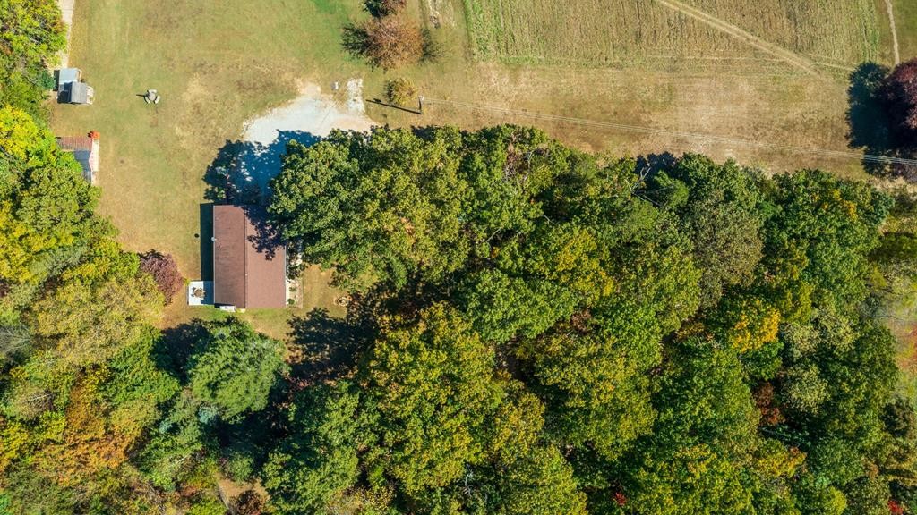 877 Workman Road New Market, TN 37820 - Photo 4 of 56 Gallery Image 4