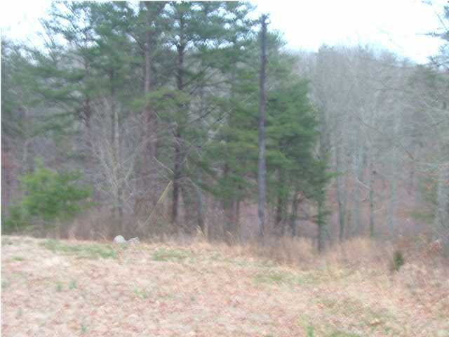 1760 Mason Road Rising Fawn, GA 30738 - Photo 1 of 1 Primary Photo