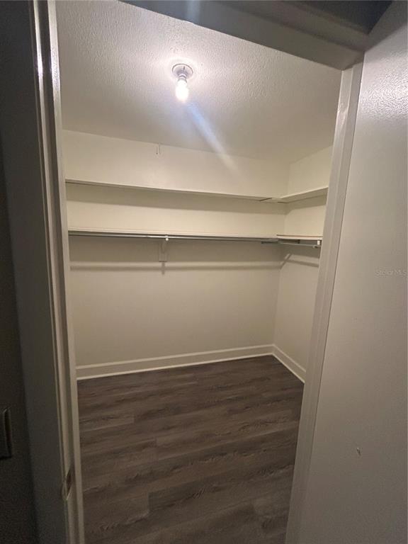2935 Plantation Road Winter Haven, FL 33884 - Photo 49 of 53