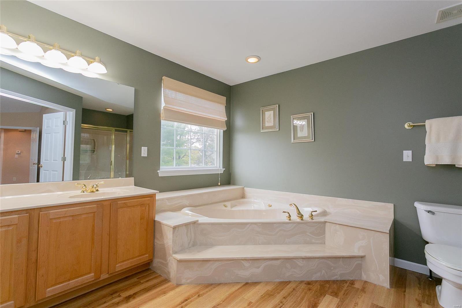 12 Spring Time Court St. Charles, MO 63303 - Photo 11 of 21