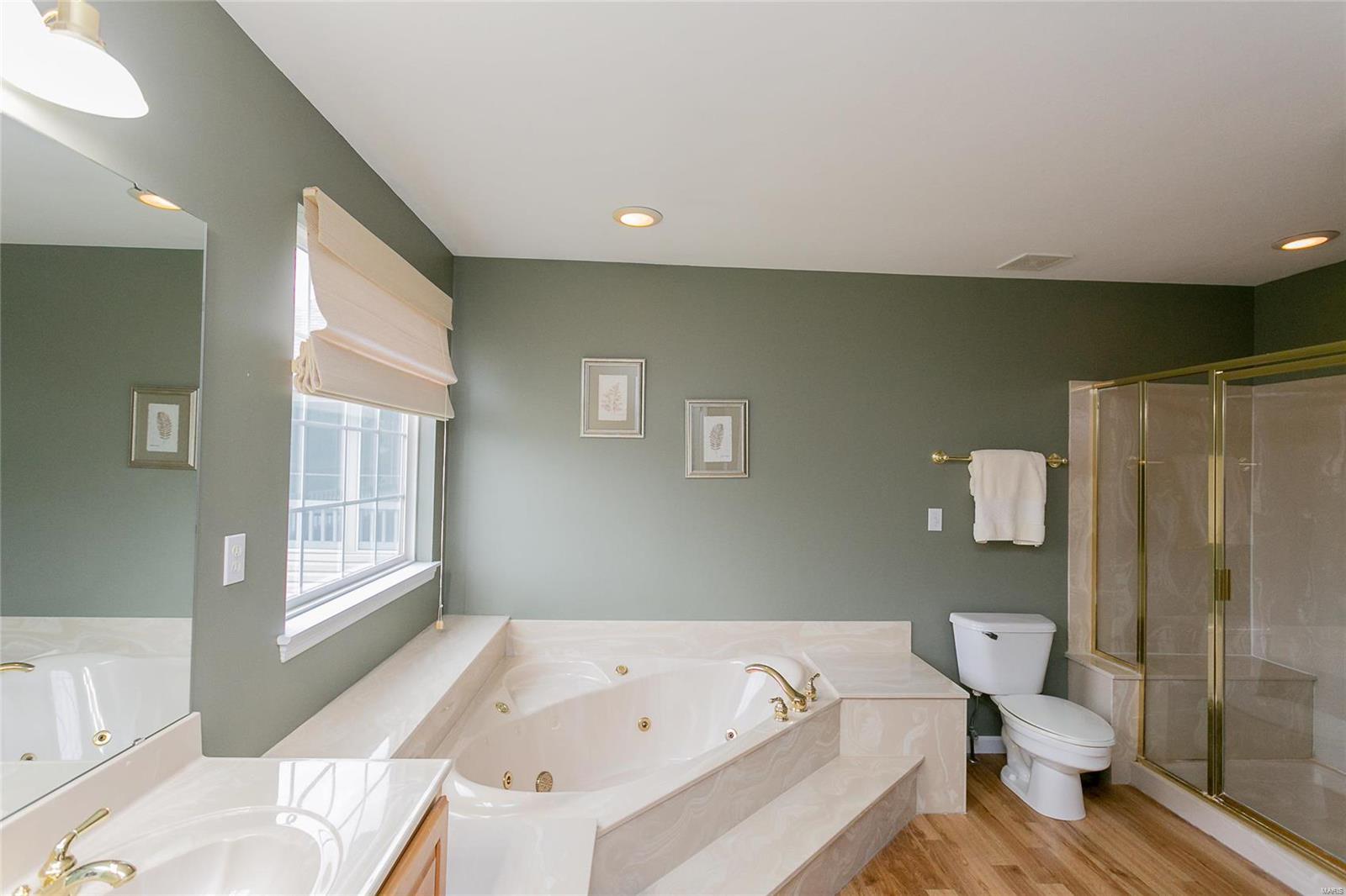 12 Spring Time Court St. Charles, MO 63303 - Photo 10 of 21