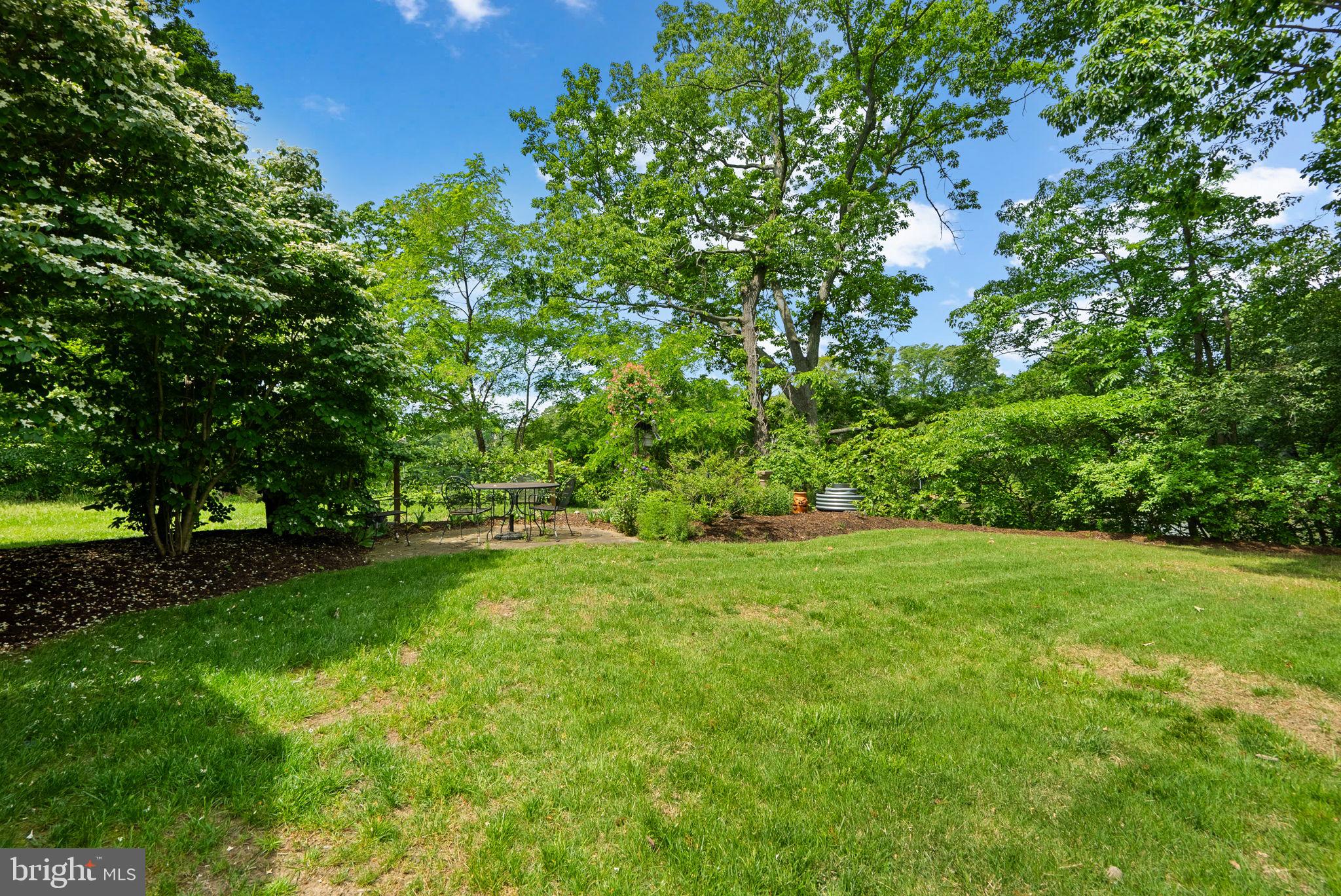 743 Rolling View Drive Annapolis, MD 21409 - Photo 64 of 100 a view of a big yard with a large trees
