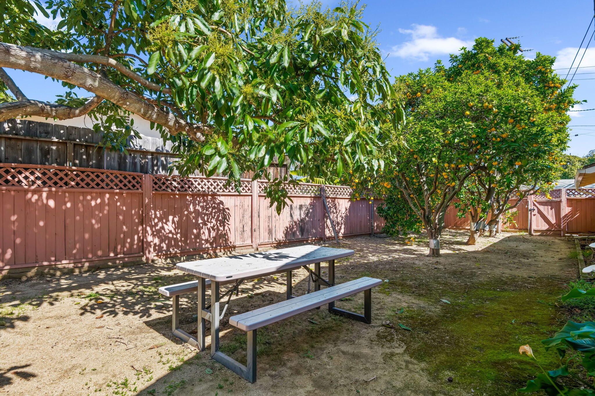 65 Lassen Drive Santa Barbara, CA 93111 - Photo 19 of 22 18-Side Yard & Fruit Trees