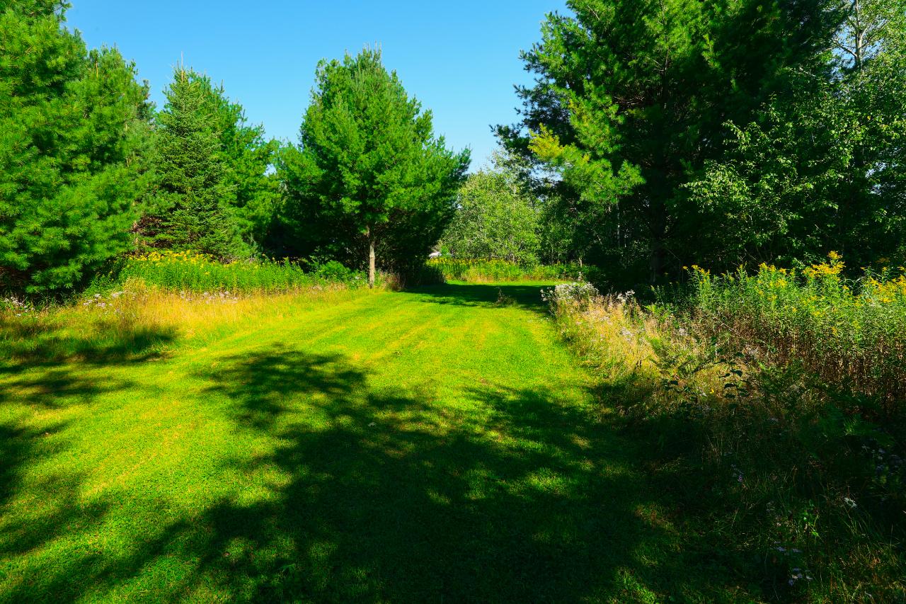 8-acres Sunset Road Elcho, WI 54428 - Photo 35 of 66 Gallery Image 35
