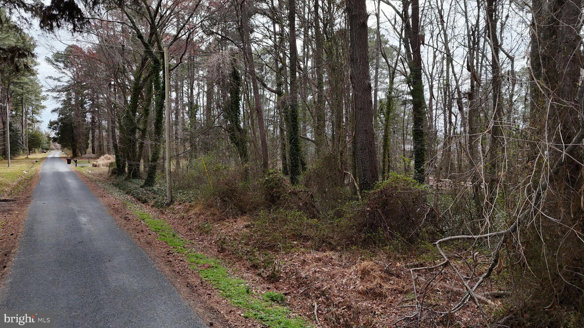 20767 Abell Road Avenue, MD 20609 - Photo 5 of 8